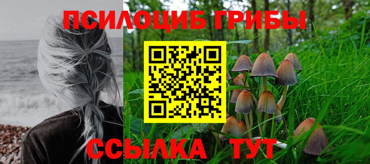 Псилоцибиновые грибы мицелий  наркошоп  Галлюциногенные грибы GOLDEN TEACHER  Дмитров  Вход с VPN 